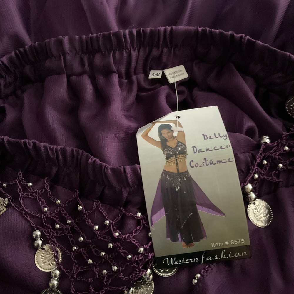WESTERN FASHION sz S/M Belly Dancer Outfit Coin and Bead Accents Grape Purple - Picture 11 of 13
